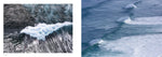 Load image into Gallery viewer, ABOVE Margaret River Region book internal page spread
