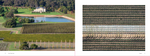 Load image into Gallery viewer, From Above - Margaret River Region - SOLD OUT - Upcoming new book very soon!
