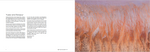 Load image into Gallery viewer, Ngala Wongga, Cultural significance of Languages in the Goldfields,
