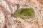 Load image into Gallery viewer, Créature verte
