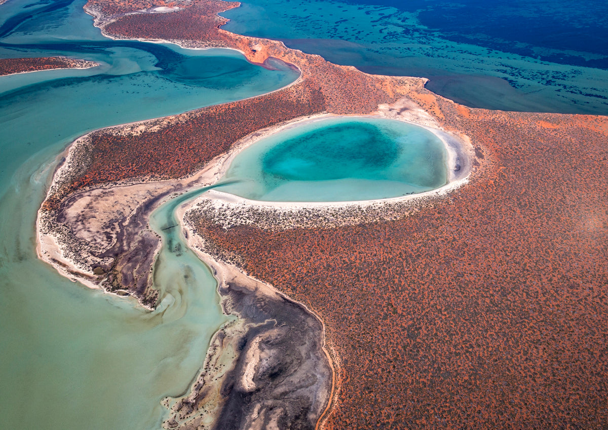 Big Lagoon (Wulyibidi) - Shark Bay