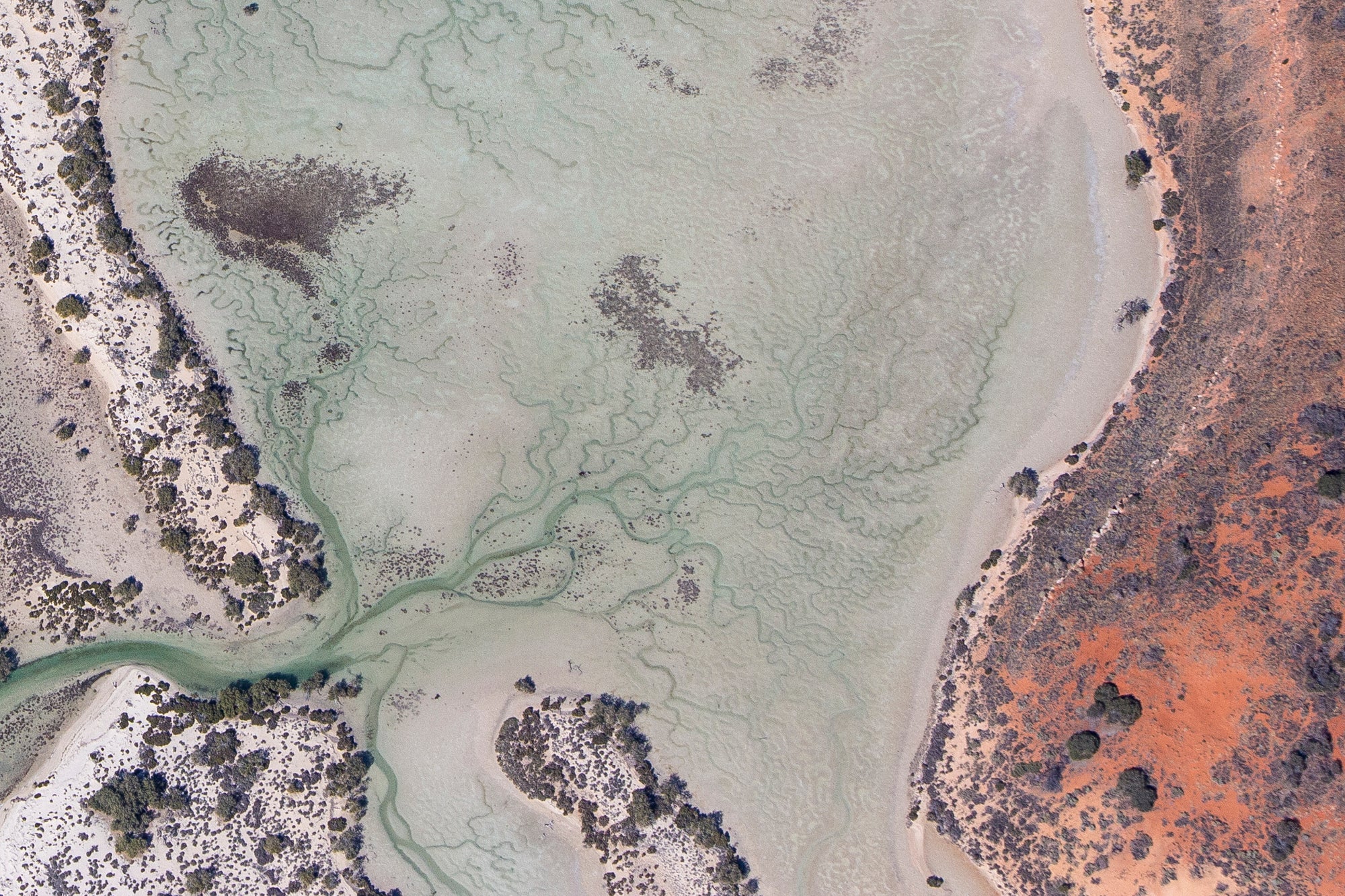 Emerald Creek - Shark Bay